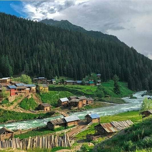 Minimarg