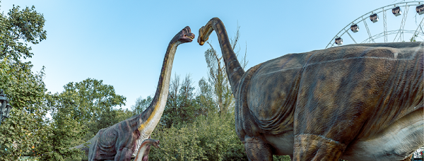 Dinosaur Park 1