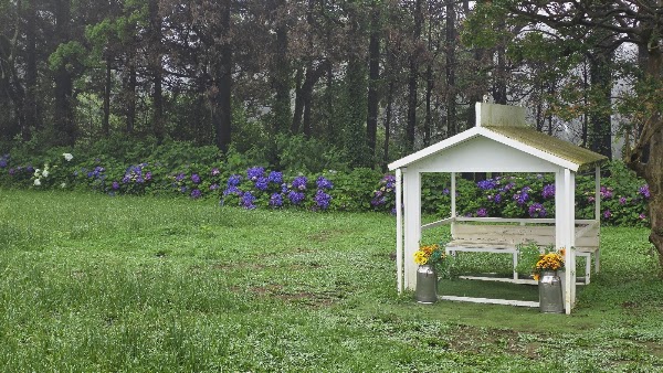 Morning Smile Ranch