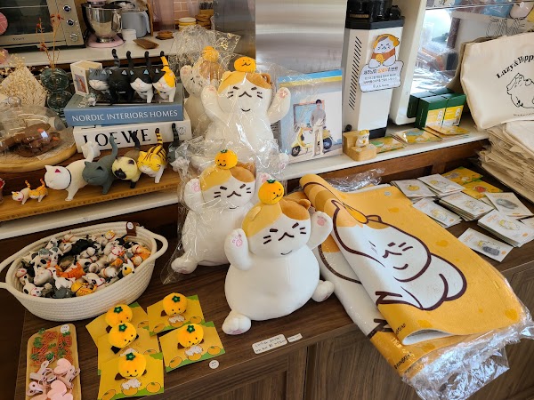 Jeju Meow 5