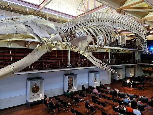 WA Museum Boola Bardip 5