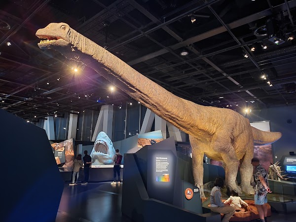 WA Museum Boola Bardip 2