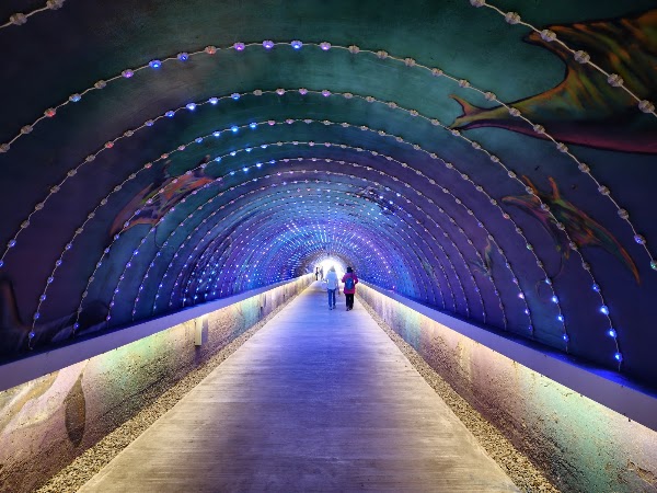 Cijin Tunnel 4