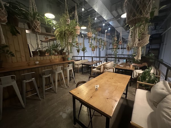 Wild & The Moon – Al Serkal Avenue 2