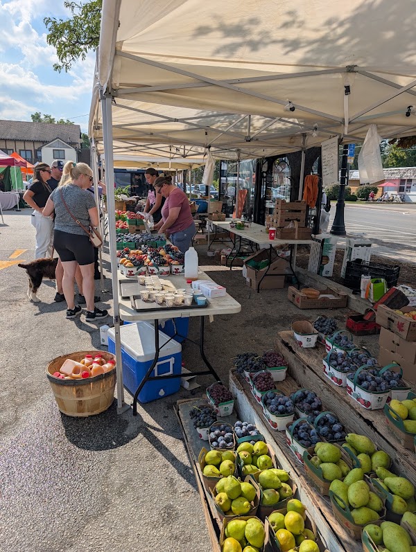 Downtown Collingwood Farmers' Market 5