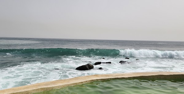 Surfer Paradise 3