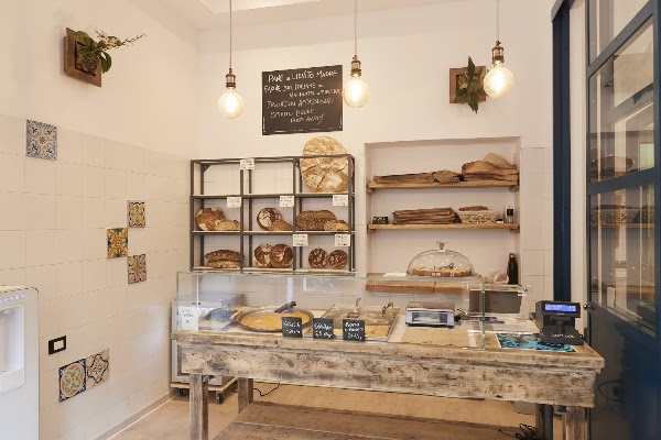 Tondo forno radicale