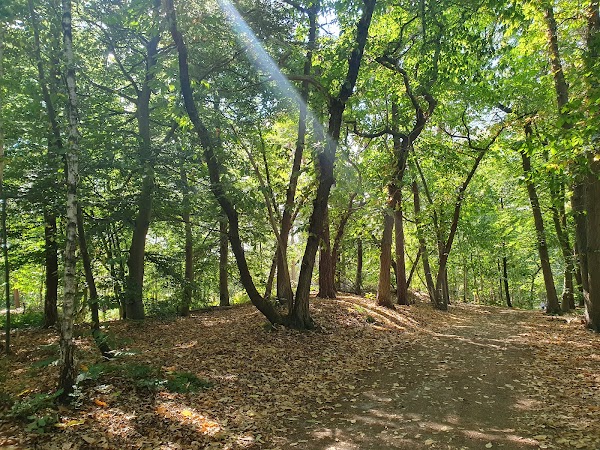 Veertien Vennen Route 5