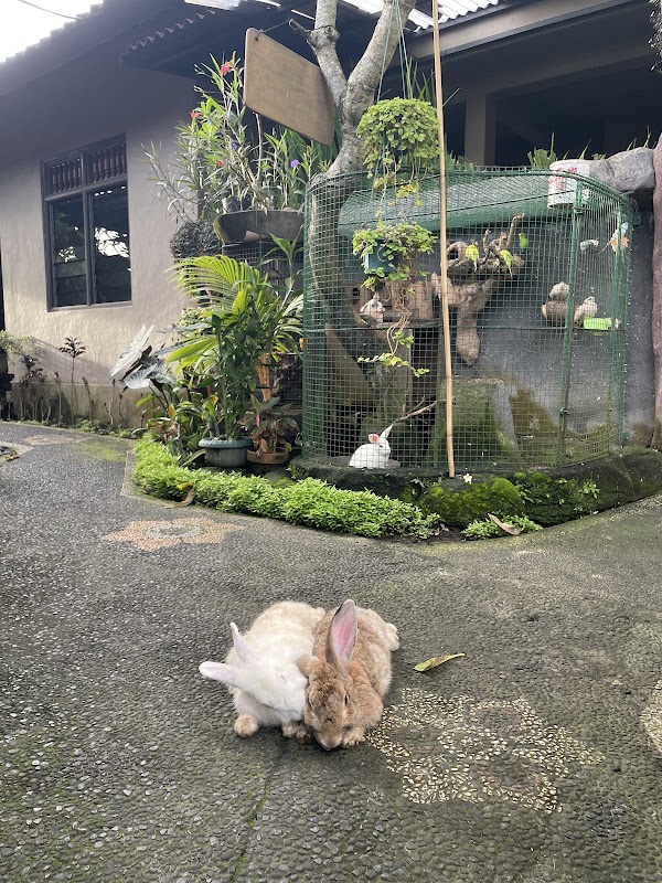In Da Garden