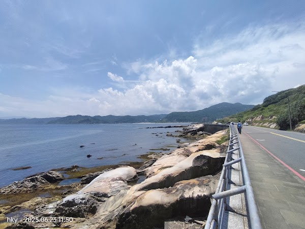 維納斯海岸