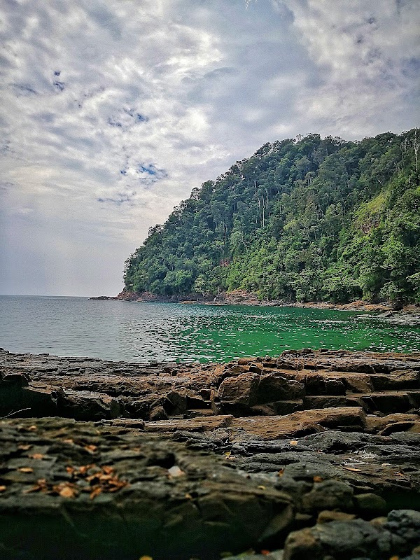 Taman Negara Talang Satang 2