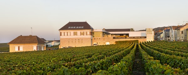 Champagne Mailly Grand Cru