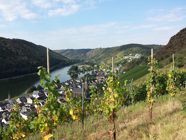 Winzerhütte Hatzenport