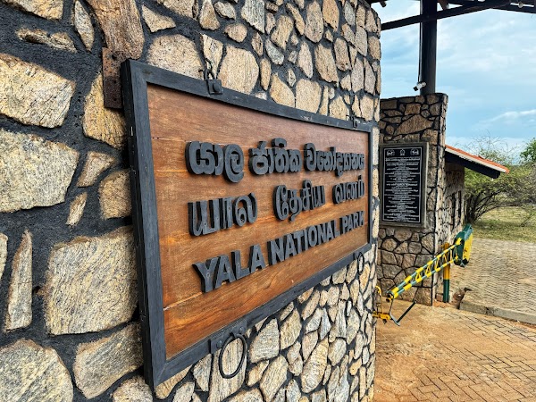 Yala National Park 3