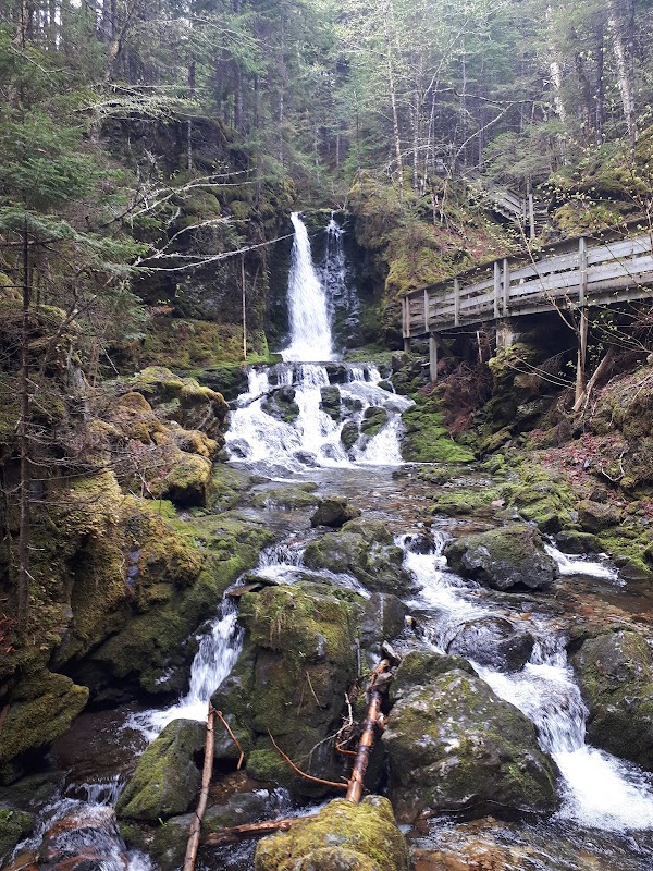Dickson Falls Trail 1