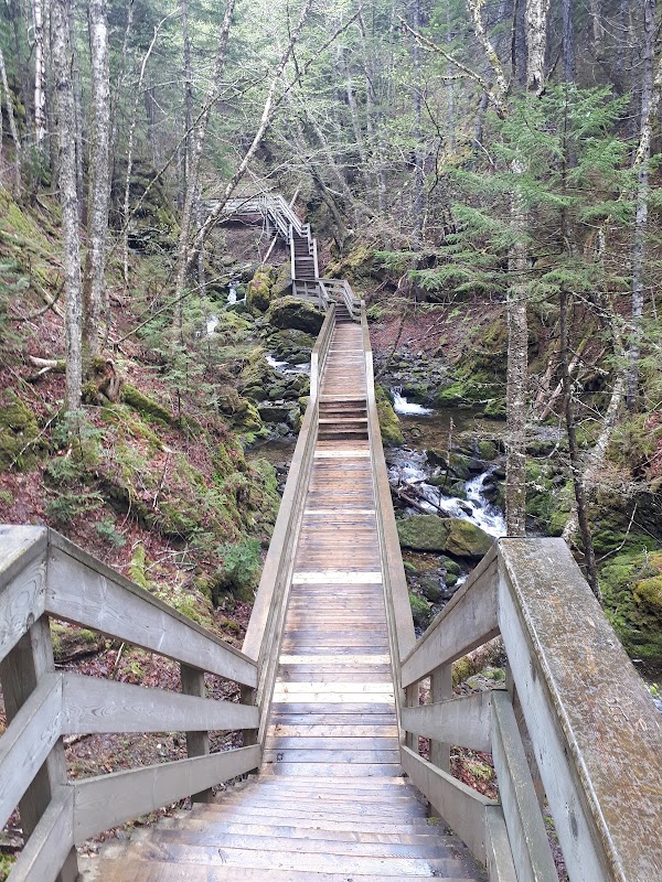 Dickson Falls Trail 5