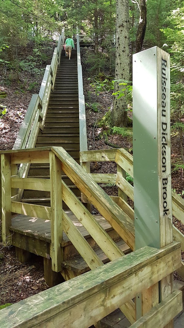Dickson Falls Trail 4