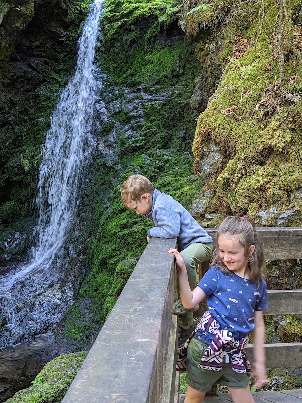 Dickson Falls Trail 3