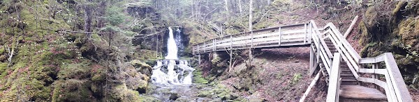 Dickson Falls Trail 2