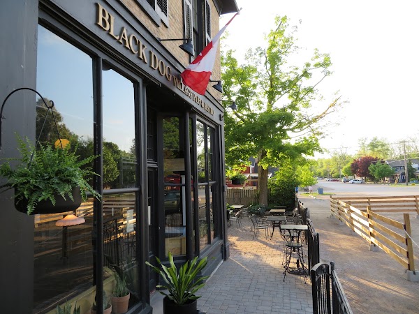 Black Dog Village Pub & Bistro 1