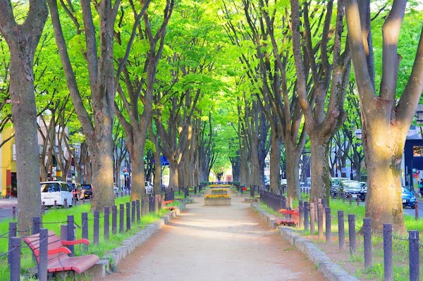 Jozen-Dori Avenue