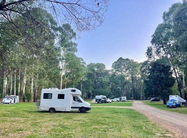 Ah Youngs Campsite