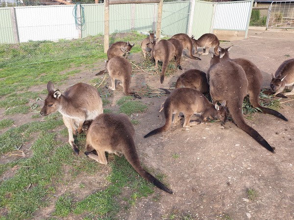 Wildlife Park
