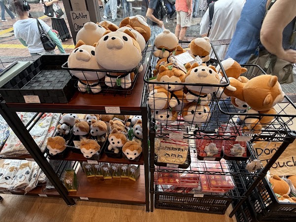 SHIBU HACHI BOX 5
