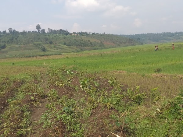 Burundi 2