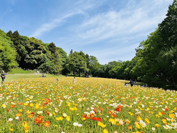 Musashi Kyuryo National Government Park 4