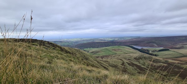 Kinder Low