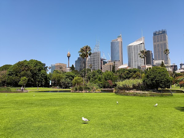 Royal Botanic Garden Sydney 5