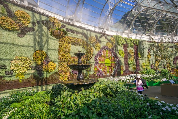 Royal Botanic Garden Sydney 4