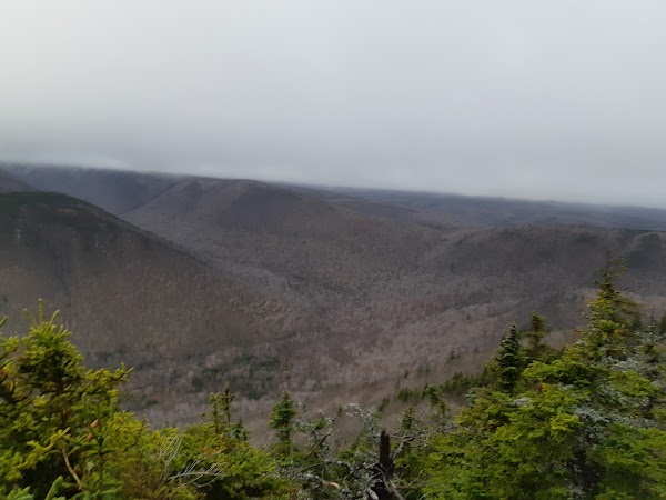 Wilkie Sugar Loaf