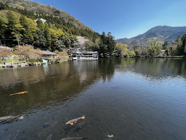 Yufuin Floral Village 3