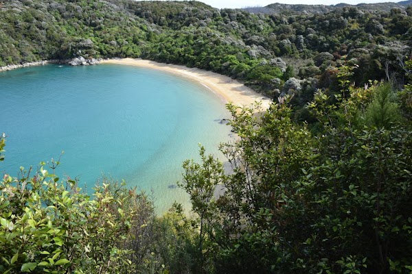 Te Pukatea Campsite
