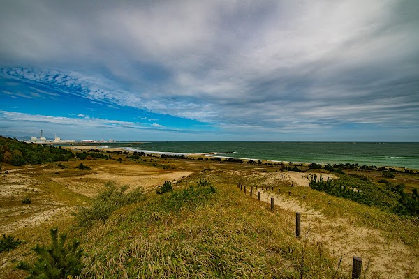 Dune Area 1