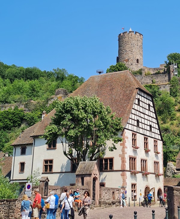 Château de Kaysersberg 3