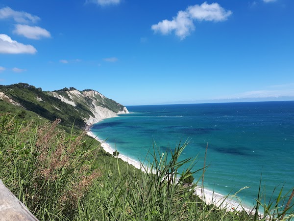 Le Marche  50