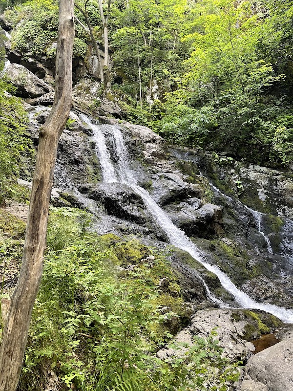 Boyana Waterfall 3