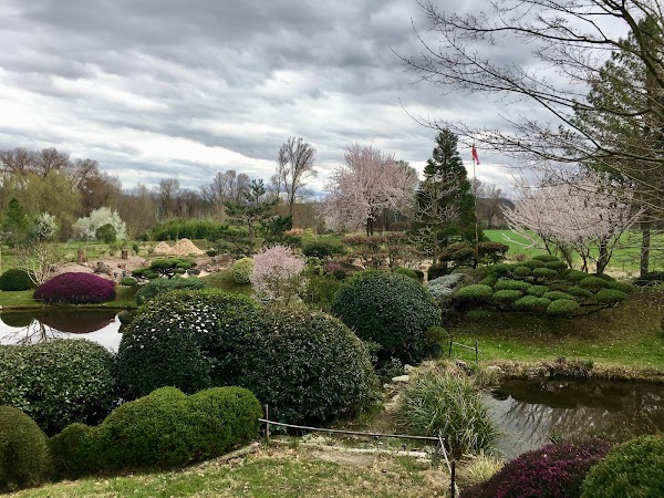 Zen d'Erik Borja Garden 1