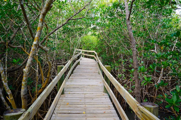 Environmental Learning Center 5