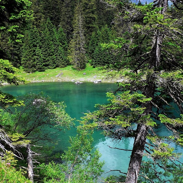 Obernberger See 5