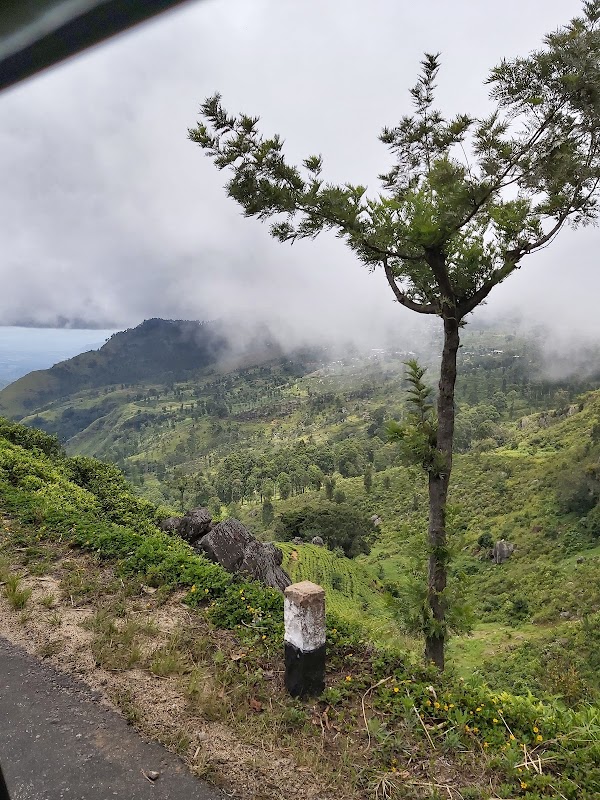 Lipton Seat Road 4