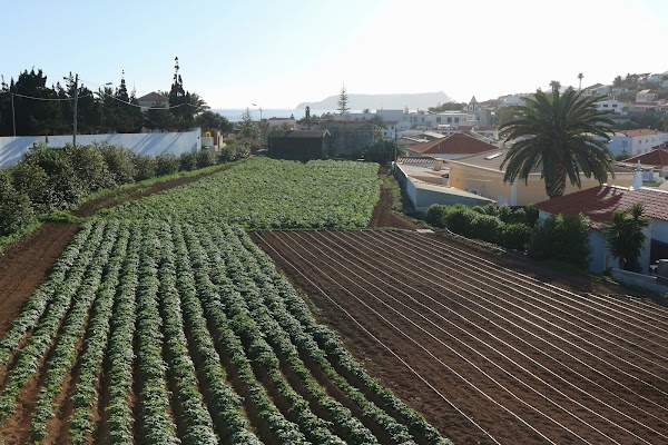 Vila Baleira 2
