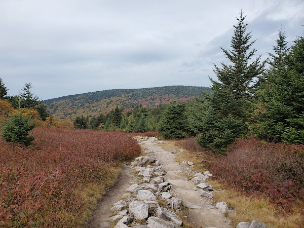 Mount Rogers National Recreation Area 4
