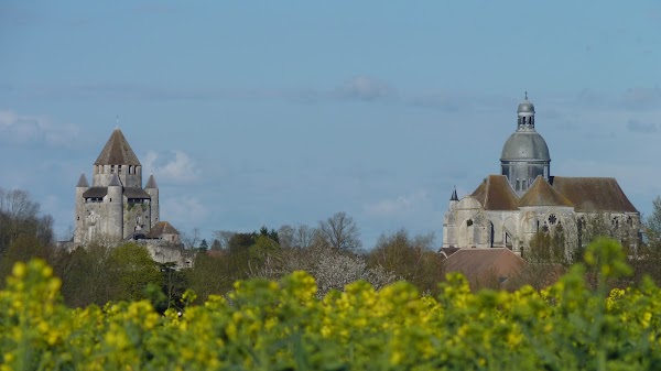 Provins 5