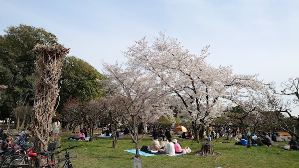 Hattori Ryokuchi Park 3