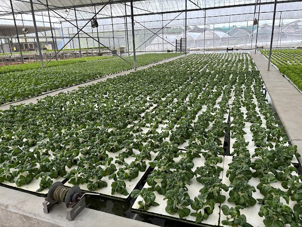 Kok Fah Technology Farm Pte Ltd