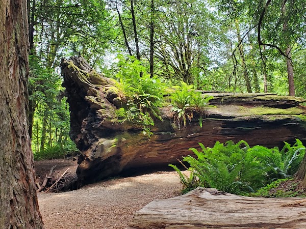 Stout Grove 5